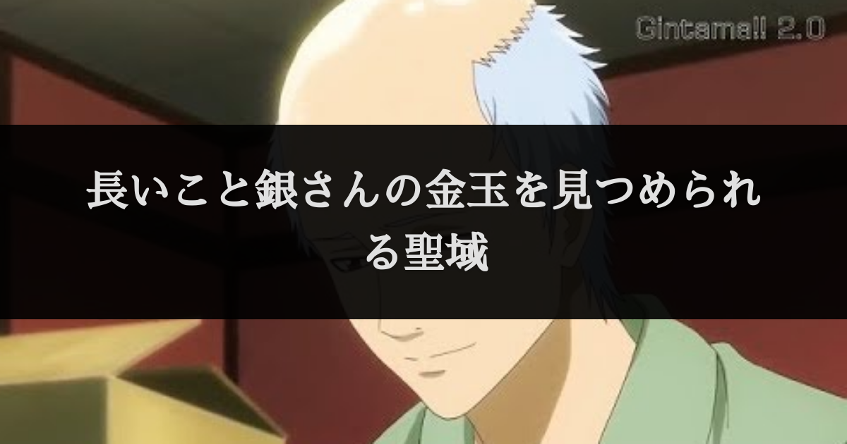長いこと銀さんの金玉を見つめられる聖域 セリフデータベース
